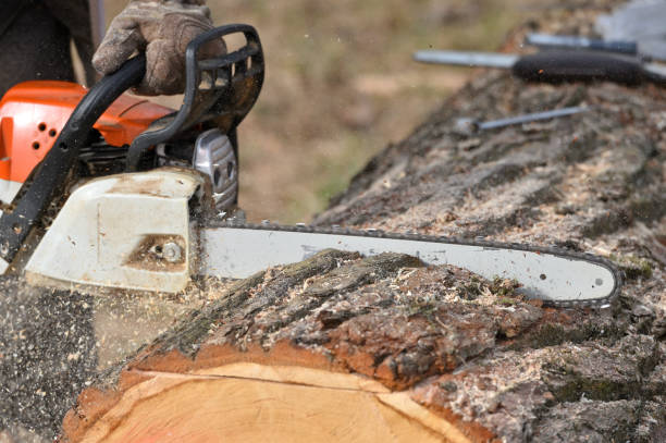 istock Cutting wood with chainsaw 2127895566