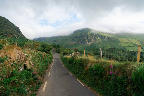 Scenic  view of road through backcountry in summer  on Dingle peninsula in Ireland