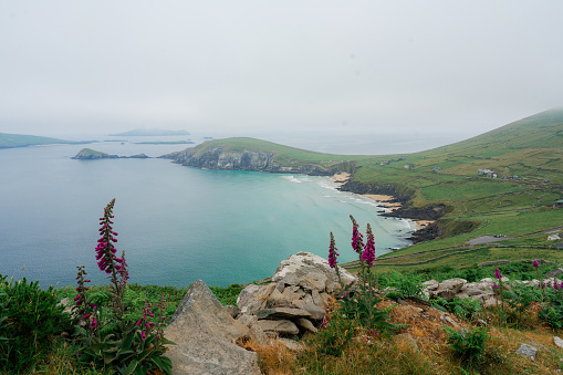 Idyllic view of Irish coast in summer with green meadows and cliffs