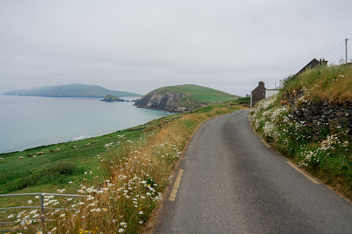 Scenic view of coastal road passing cliffs of Dingle Peninsula in Ireland in summer