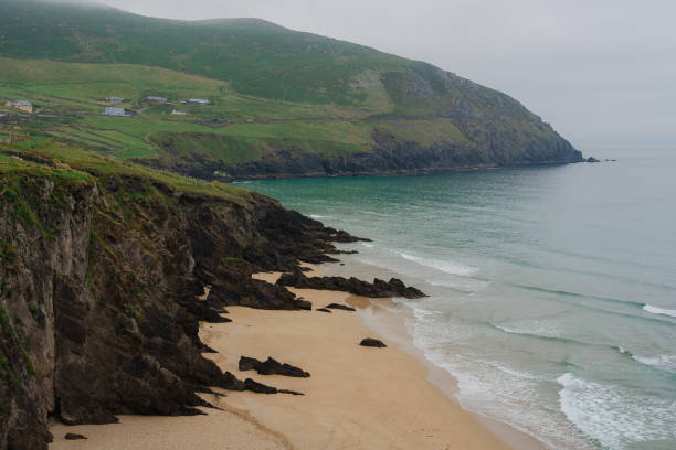 Idyllic view of Irish coast in summer with green meadows and cliffs