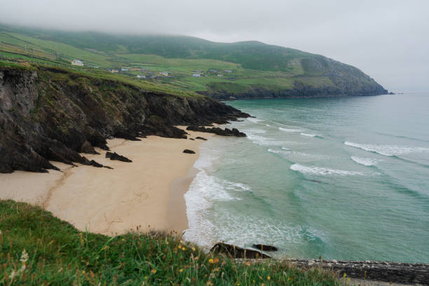 Idyllic view of Irish coast in summer with green meadows and cliffs