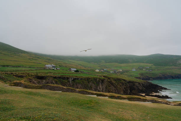 Idyllic view of Irish coast in summer with green meadows and cliffs