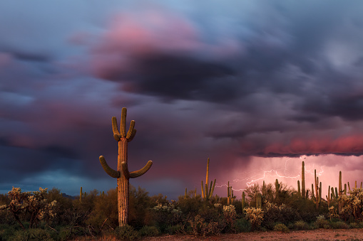 Stormy sky with lightning and a thunderstorm in the Sonoran Desert near Florence, Arizona, USA.