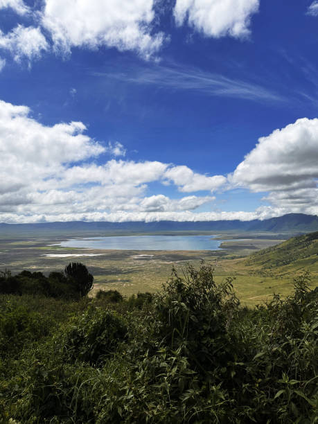 istock Scenes from a safari in Tanzania 2127976157
