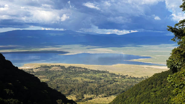 istock Scenes from a safari in Tanzania 2127977241