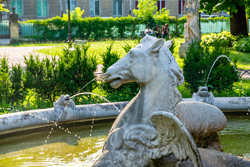 Vicenza, Venetien - Italy - 06-12-2021: Close-up of a horse head statue spewing water from its nose at the Winged Horse Fountain in Vicenza