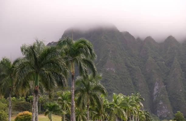 istock Ko'Olau Mountains on the windward side of Oahu 2128041446