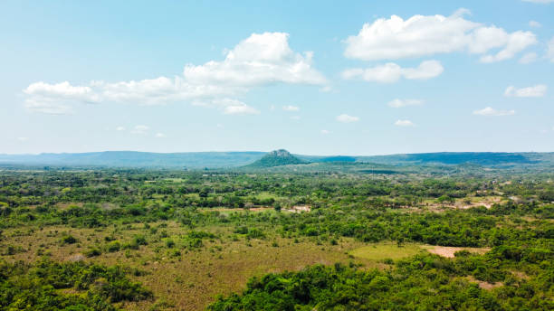 istock extraordinary exotic green natural landscape 2128046635