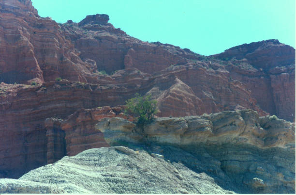 istock Rocky wall in the desert with some vegetation 2128071842