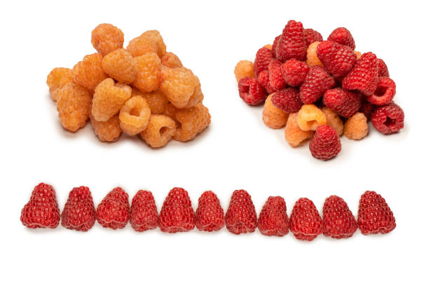 istock Tasty raspberries isolated on  white background. 2128084256