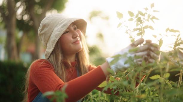 istock Asian woman gardening. 2128111033
