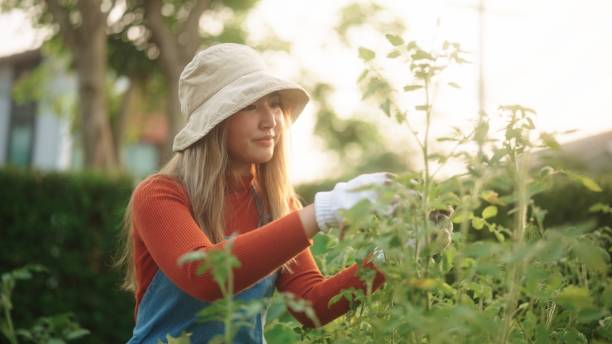 istock Asian woman gardening. 2128111034