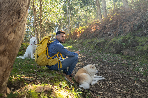 Hiker with backpack and his dogs resting on the forest trail