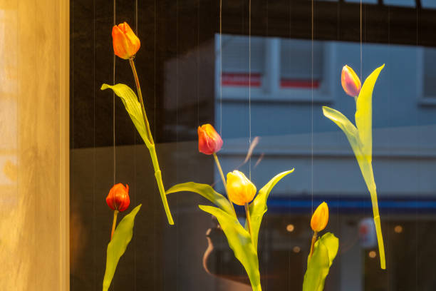 tulips on a rope in a shop window in the city