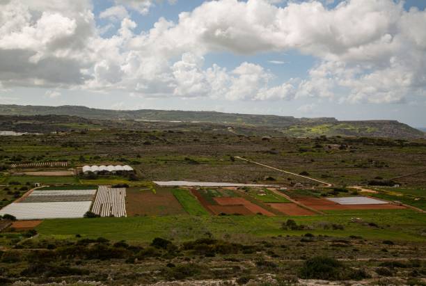 istock Crops Of Malta. 2128220906