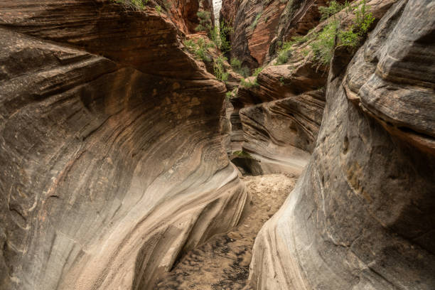 istock Sandy Bottom of Echo Canyon in Zion 2128245338
