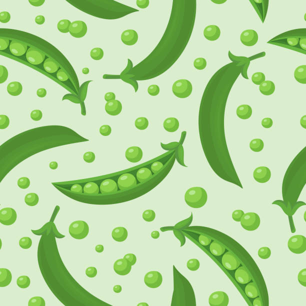 벡터, seamless, pattern, 와, flat, green, pea, pod. 만화 녹색 완두콩 디자인 직물, 벽지, 요리 포장에 대 한 템플릿 - pod geometric shape pattern seamless stock illustrations