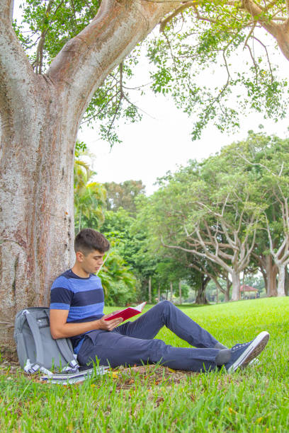 portrait of young latin college happy handsome university male student carrying a backpack and reading a book over the grass in university campus outside the library, wearing a blue t-shirt and pants. - library student latin american and hispanic ethnicity university stock-fotos und bilder