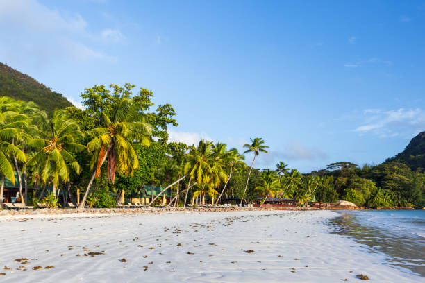 istock Coastal view with wet white sand under blue sky on a summer day. Praslin 2128294487