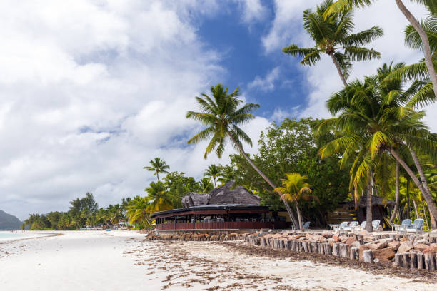 istock Coastal landscape with beach bar under coconut palm trees. Cote D'Or Beach 2128294787