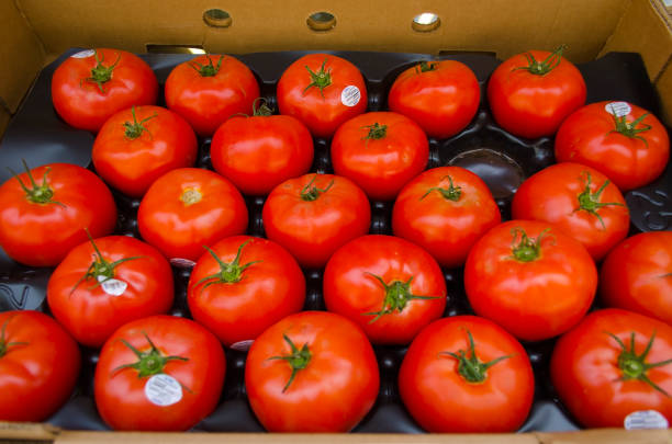 istock Tomatoes. Market. Barnstable County. Wellfleet, Massachusetts. Cape Cod. 2128295817