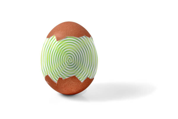 Peeled chicken egg with hypnotic spiral isolated on white background.