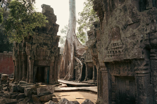 istock Ta Prohm Tomb Raider Temple in Angkor complex Cambodia 2128361523