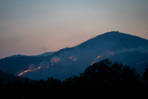 incendi boschivi sulla montagna di bokor vicino alla città di kampot, cambogia - siem reap province foto e immagini stock