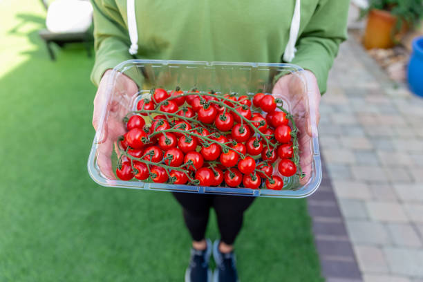 woman holding a plastic container of tomatoes - real people multi colored red plastic 뉴스 사진 이미지