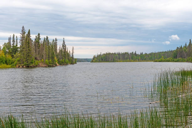 istock Quiet Lake on a Cloudy Day in the Far North 2128427695