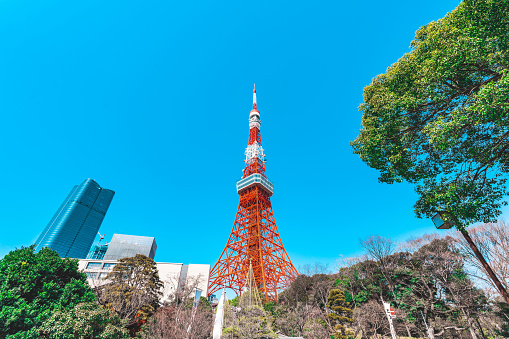 Tokyo Tower Look Up