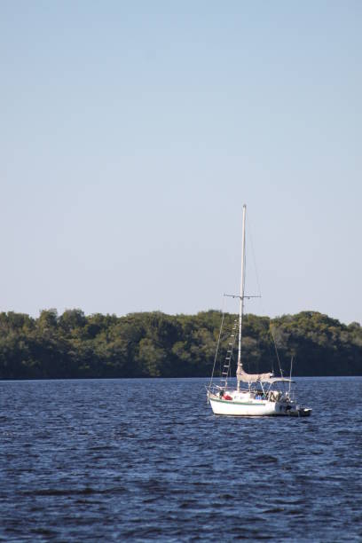 istock Fort Myers, Florida 2128548971