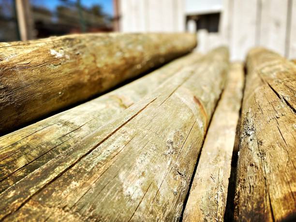 Wood Rails in a Pile