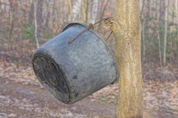 istock one old black dirty plastic bucket 2128569971