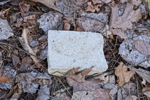 dirty piece of white brick lies on the ground in the street