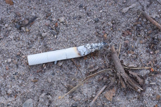 istock one white cigarette butt with a filter lies on gray sand 2128585399