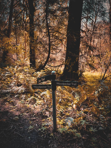 istock Trail Markers - Portland, Oregon 2128632400