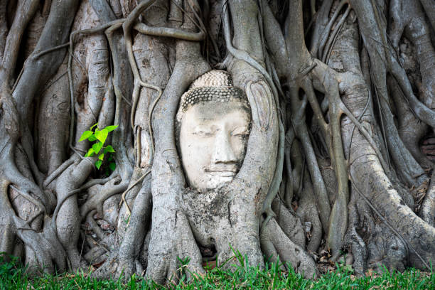 istock Buddha Head statue with trapped in Bodhi Tree roots at Wat Maha That Ayutthaya. Ayutthaya historical park Thailand. 2128667035