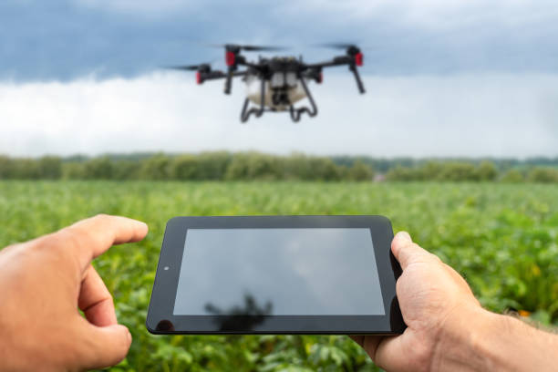 istock drone control on the farmer's field. Modern technologies in agriculture. industrial drone flies over green field and sprays useful pesticides to increase productivity and destroys harmful insects. 2128668601