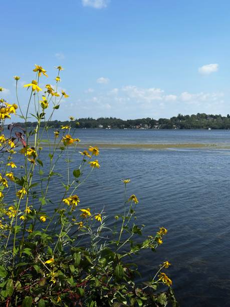 scugog lake port perry e impianti waterfront - perry foto e immagini stock