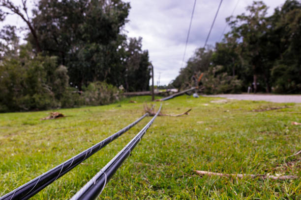 istock Hurricane struck electricity poles in Steinhatchee, North Florida.  Fallen tree and damaged power lines knock down the grass. Focus on cable poles 2128704084