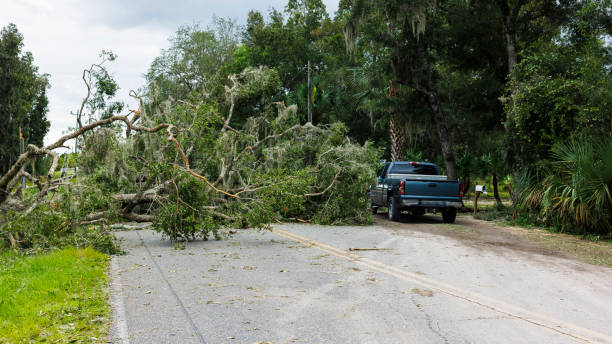 istock Fallen tree and damaged power lines meet car on the road.  Closed car path in Steinhatchee, North Florida after hurricane landfall 2128704085
