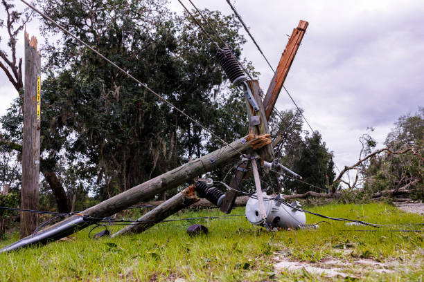 istock Broken power line with cables make blackout in Steinhatchee, North Florida. Knocked down tree broking electric pole in the field. Close up 2128704087