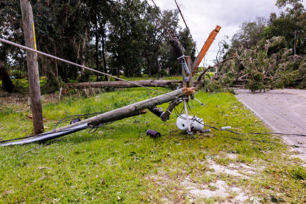 istock Fallen power lines poles and fuse box on grass after hurricane. Fallen tree create road blockage in Steinhatchee, North Florida 2128704088