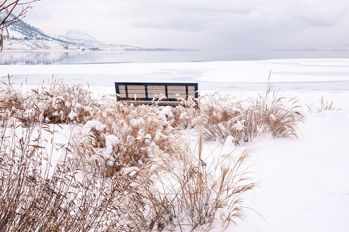 Recent snowfall covers grasses and a park bench beside Lake Okanagan in Penticton, BC.