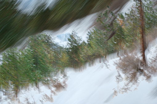 Abstract view of snowy trail through beautiful forest in Washington State. Two Intentional Camera Movement (ICM) exposures combined in-camera.
