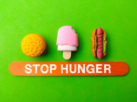 Toys food with the word STOP HUNGER on a green background