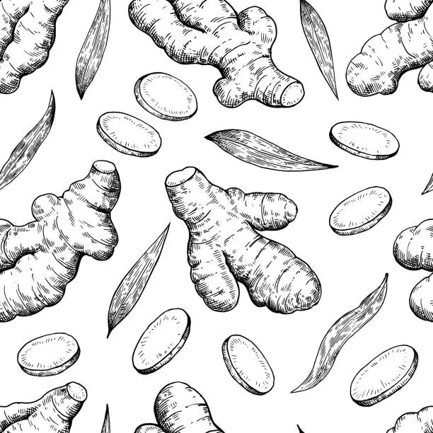 Vector illustration of Seamless pattern with ginger roots, slices and leaves in engraving style. Black and white ink illustration.