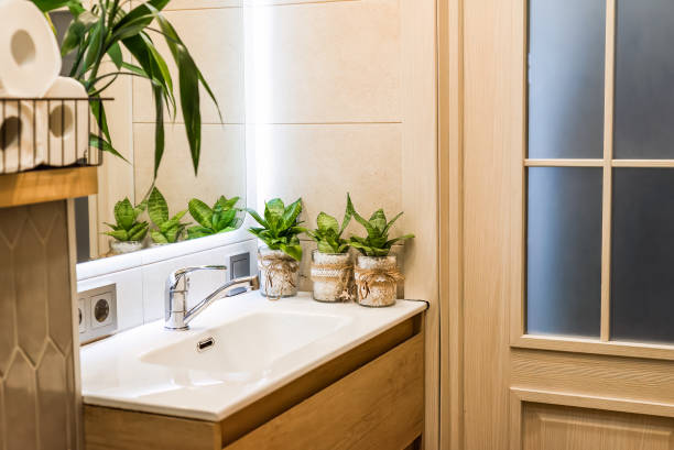 istock Sansevieria flowers in pots standing on sink as a bathroom decoration 2128800079